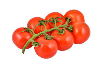 Branch of fresh tomato, isolated on white background