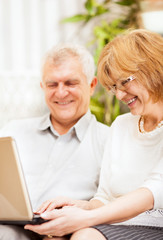 Senior couple using laptop