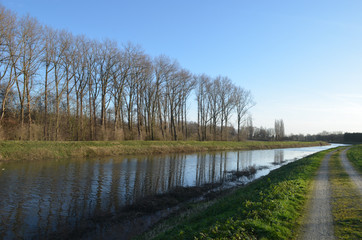 River Zenne in Hombeek lined by trees