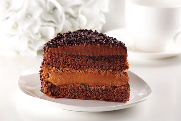 Delicious chocolate cake on plate on table on light background