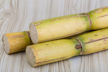 Sugar reed