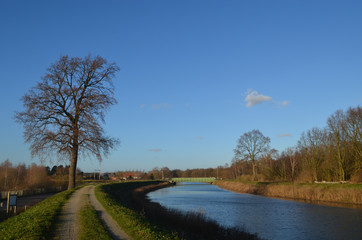 path and tree on river bank