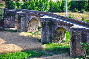 Fototapeta na wymiar Coria, Cáceres, cultivos bajo el puente antiguo del río Alagón