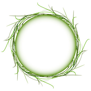 abstract green grass circle frame vector whit background