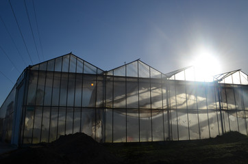 Obraz premium greenhouse in autumn sun