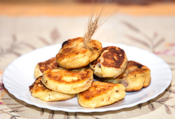 Fried curd fritters decorated with oat ear top on white plate