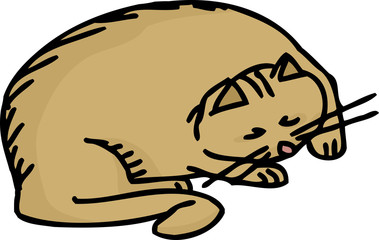 One Cat Sleeping
