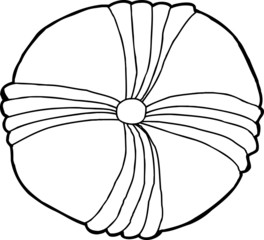 Echinoderm Fossil Outline