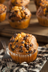Homemade Chocolate Chip Muffins