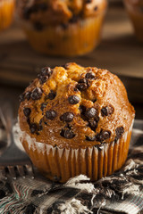Homemade Chocolate Chip Muffins