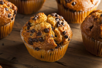 Homemade Chocolate Chip Muffins