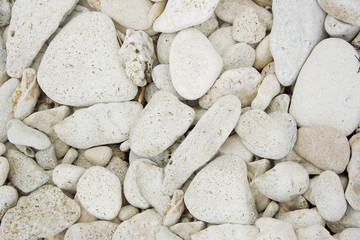 Photo texture of white colored sea gravel or stones.