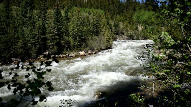 Clean, pure running water in stream in the mountains