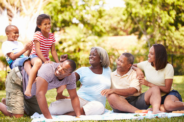 Fototapeta premium Rodzina wielopokoleniowa, która razem bawi się w ogrodzie