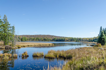 Lake in Algonquin Park