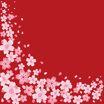 桜　背景