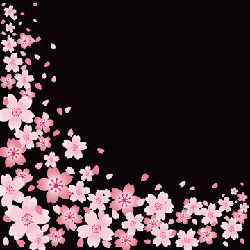 桜　背景