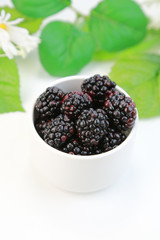 ブラックベリー