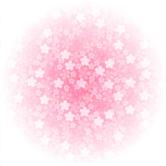 桜　花　背景