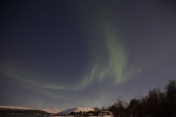 Naklejka na ściany i meble Northern lights in Norway