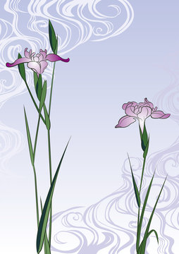 歌川広重 堀切の花菖蒲のイメージイラスト Stock Vector Adobe Stock