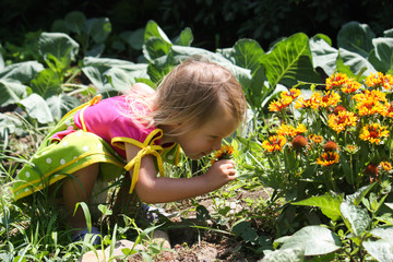 Small cute kid walk in garden