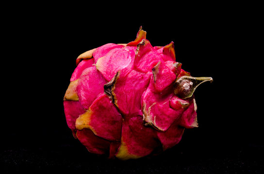 Pitaya or Dragon Fruit
