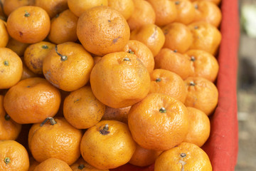 orange fruits in the market