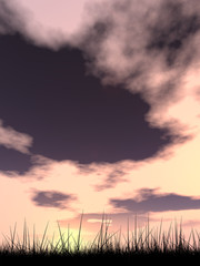 Black grass over sky sunset background