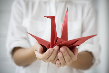 Girl to have a paper cranes