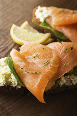 Salmon