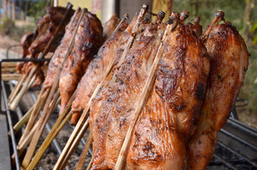 grilled Chicken