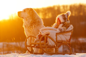 Ребенок и собака зимой