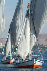 Felucca Nile cruise-Egypt
