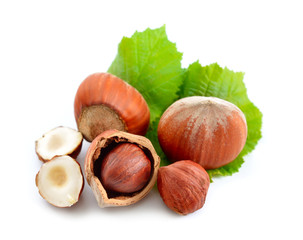 Hazelnut - a filbert isolated.