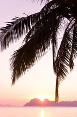 Fiery Backdrop Bay View