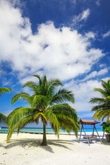 Fototapeta na wymiar Wooden hammok and palms with tropical lagoon