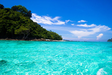 Fototapeta premium Oblivion Waters On a Sunny Beach