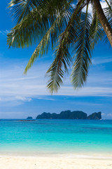 Plakat Coconut Getaway Jungle and Sea