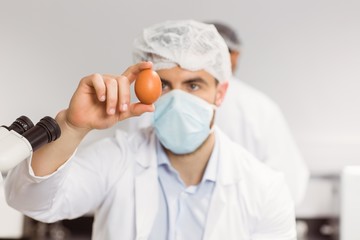 Food scientist looking at an egg