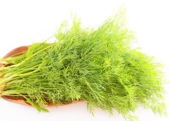 フェンネルの葉