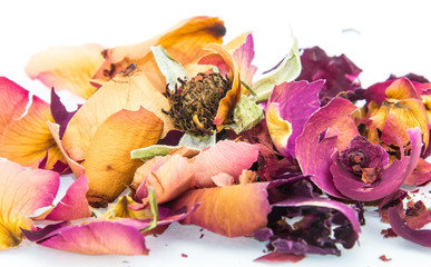 Withered rose and petals on white background
