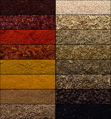 spices collage