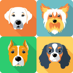 Fototapeta premium SET dogs icon flat design