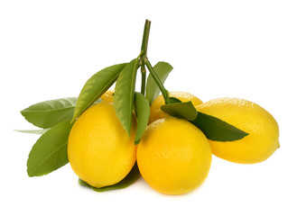 Fresh lemons