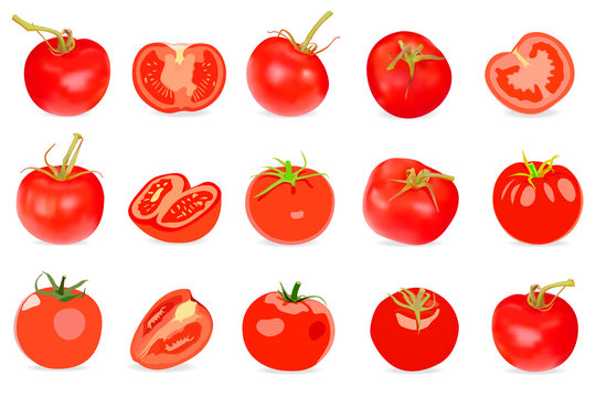 Set of Realistic red Tomatos. Vector illustration. Isolated on w