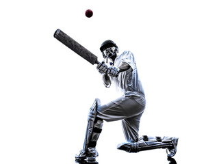 Cricket player  batsman silhouette - Powered by Adobe