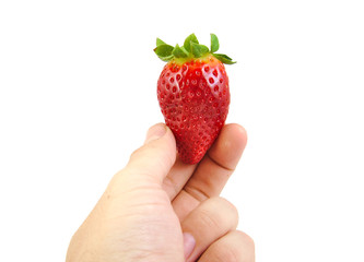 Obraz premium Hand holding a strawberry isolated on white.