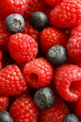 Berries background