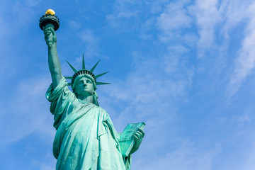 Fototapeta premium Statue of Liberty New York American Symbol USA